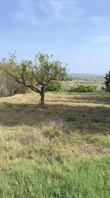 Beautiful With Huge Private Pool And Vineyard View * Valence